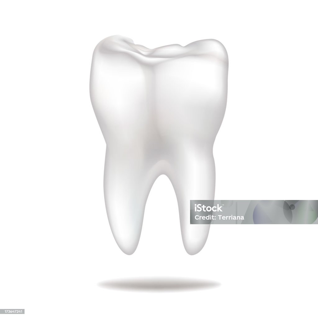Salud dientes - arte vectorial de Anatomía libre de derechos