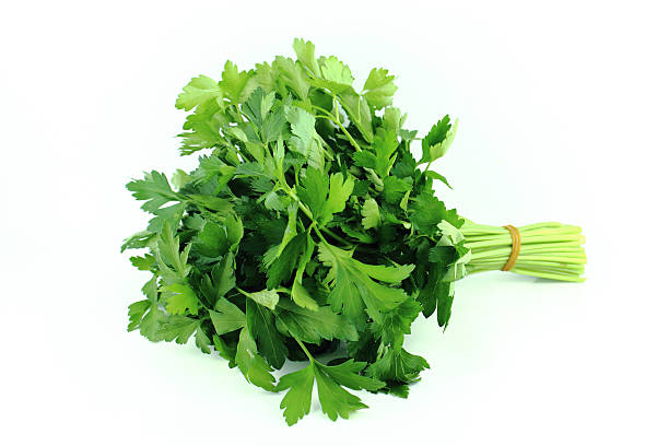 istock bunch of parsley 173648639