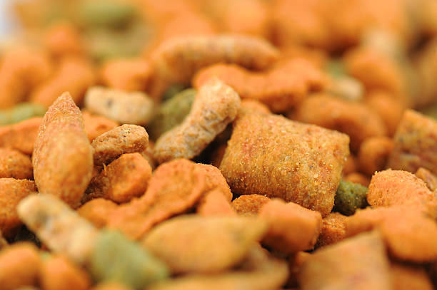 istock Dog food 173648916