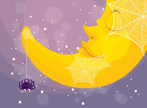 Vector illustration of Spider and moon