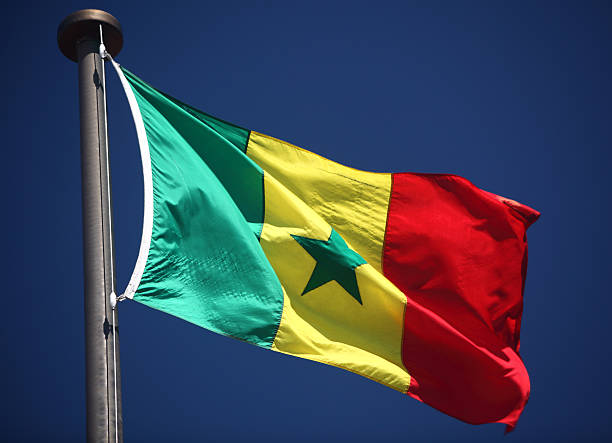 flagge von senegal - flag of senegal stock-fotos und bilder