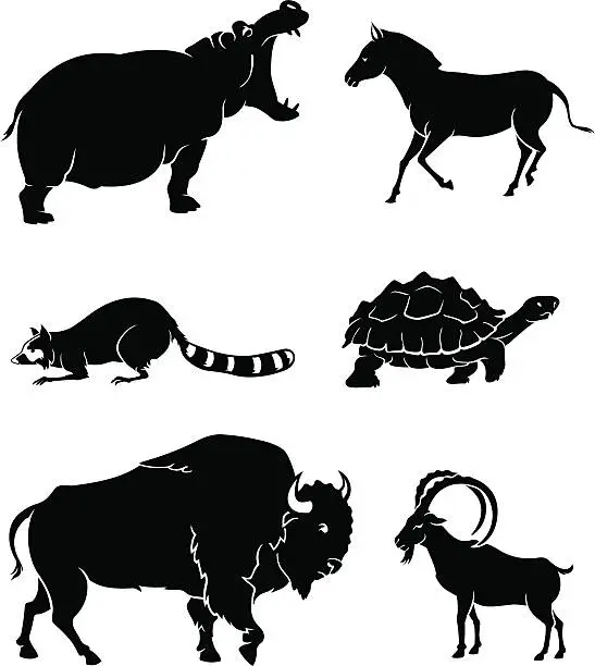 Vector illustration of Wild Animals Silhouette