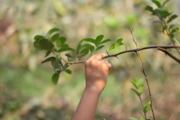istock A man is holding a tree with his hands and a blurred background 1736506751