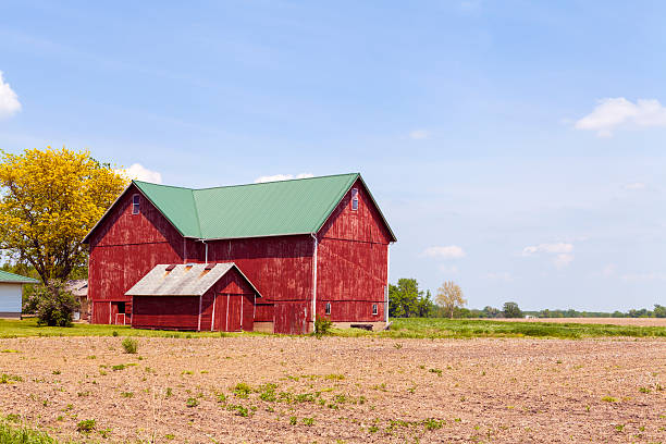 istock American Farmland With Blue Cloudy Sky 173653710