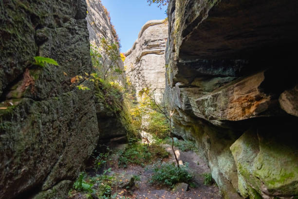 istock rock city park, olean , NY, fall season forest, gigantic rock formations 1736553789