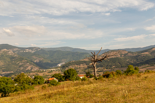 Landscape Rhodope Mountain. Bulgaria