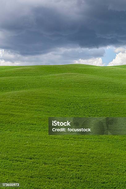 Toscana Paesaggio - Fotografie stock e altre immagini di Agricoltura - Agricoltura, Albero, Ambientazione esterna