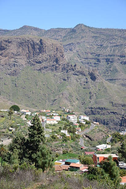istock Barranquillo Andres, Gran Canaria 173656222
