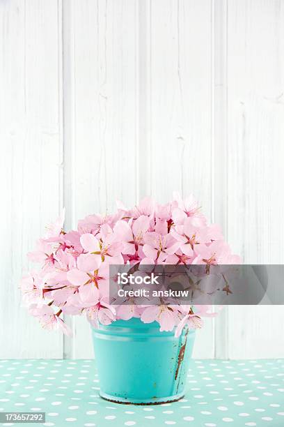 Pink Cherry Blossom Flower Bouquet Stock Photo - Download Image Now - Arrangement, Blossom, Blue