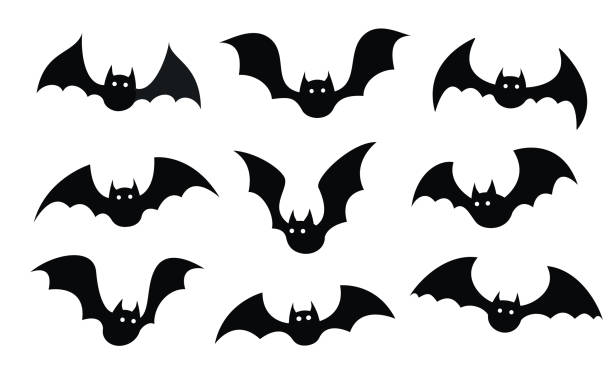 ilustrações de stock, clip art, desenhos animados e ícones de bat in different positions on white background. black silhouettes of bats. - morcego