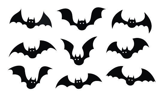 Bat in different positions on white background. Black silhouettes of bats.