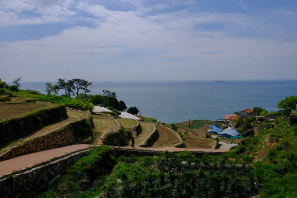 istock korean agriculture at seaside 1736596622