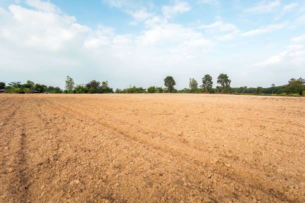 istock Empty dry cracked swamp reclamation soil, land plot for housing construction project with car tire print in rural area and beautiful blue sky with fresh air Land for sales landscape concept. 1736596662