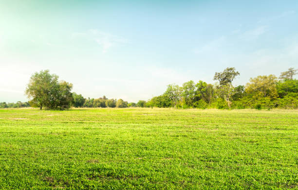 istock Empty dry cracked swamp reclamation soil, land plot for housing construction Green meadow, beautiful views and beautiful blue sky with fresh air Land for sales landscape concept. 1736596665