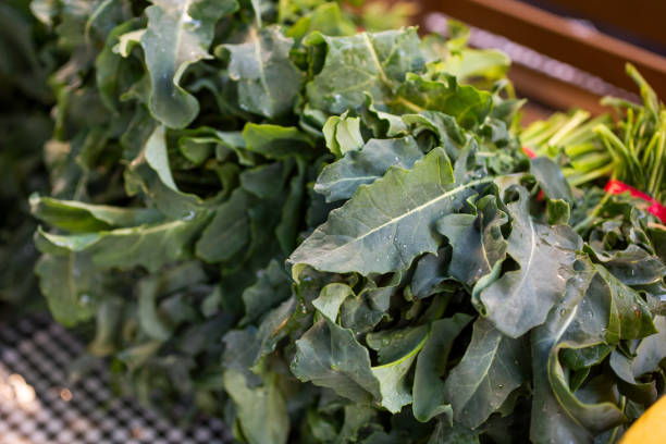 istock bunches of spigarello 1736597105