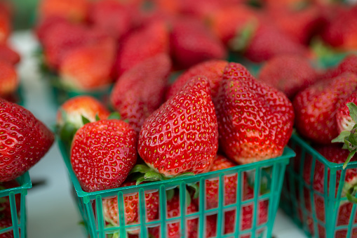 A closeup of several packs of fresh strawberries on display at a local farmers market.