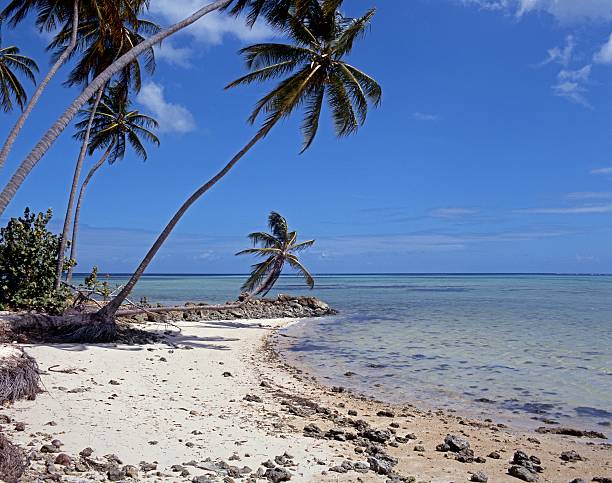 istock Beach at Bon Accord Lagoon, Tobago, West Indies. 173659832