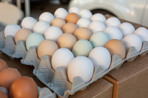 A view of chicken egg cartons featuring a variety of egg colors, located at a local farmers market.