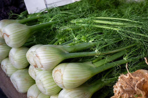 A view of several stalks of fennel on display at a local farmers market.