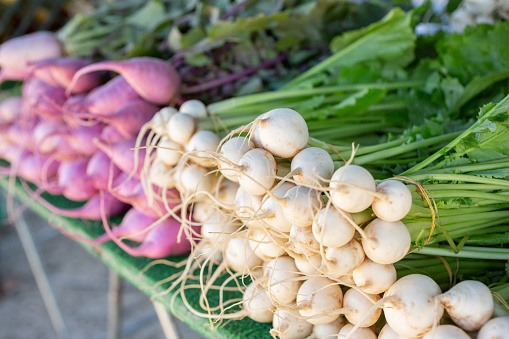 A view of several varieties of radish on display at a local farmers market.