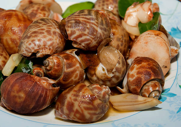 istock Steamed clam with thai herb 173660660