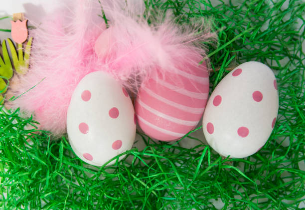 Pink big easter eggs and feathers with green grass and wood flowers on a white background.