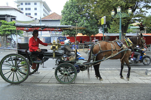 Yogyakarta, Indonesia, Feb 24, 2014. Dokar or carts, traditional transportation is parked on the side of Malioboro road waiting for passengers.