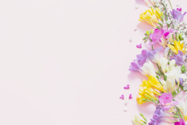 istock spring flowers on pastel pink background 1736671415