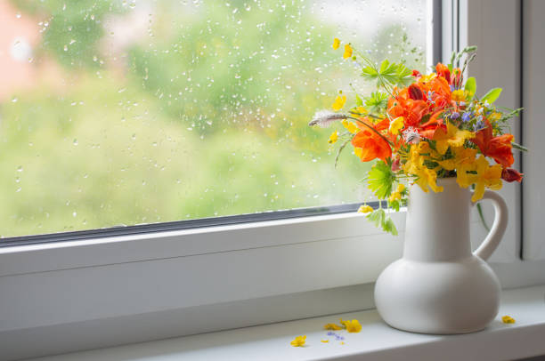 istock summer flowers in white jug on windowsill 1736671441