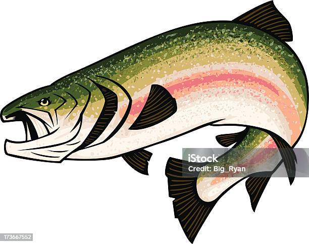 Ilustración de Trucha Ilustración y más Vectores Libres de Derechos de Industria de la pesca - Industria de la pesca, Pescar, Trucha