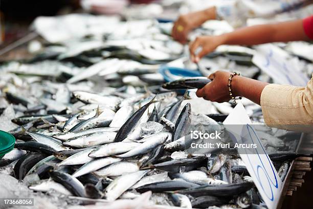 Thai Mercado De Peixe - Fotografias de stock e mais imagens de Tailândia - Tailândia, Mercado de Peixe, Peixe