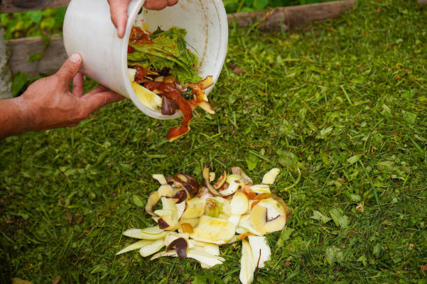 istock Ecology compost supply - kitchen waste recycling in backyard composter. Environmentally friendly lifestyle. The man throws leftover vegetables from the bowl. 1736697214
