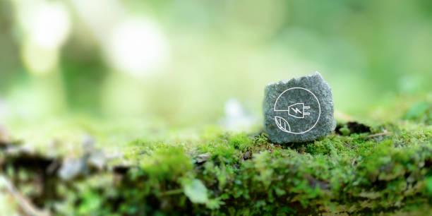 istock Clean energy,renewable energy, sustainable energy. Carbon reduction solution to limit climate change and global warming. Environmental protection. Sustainable energy source icon with natural view. 1736701016
