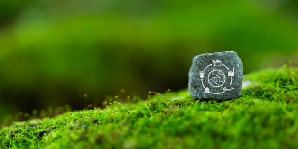 istock Business value chain and sustainability. LCA, Life cycle assessment . Positive environmental impact to value chain product. Carbon footprint reduction. ISO LCA standard aims to limit climate change. 1736701020