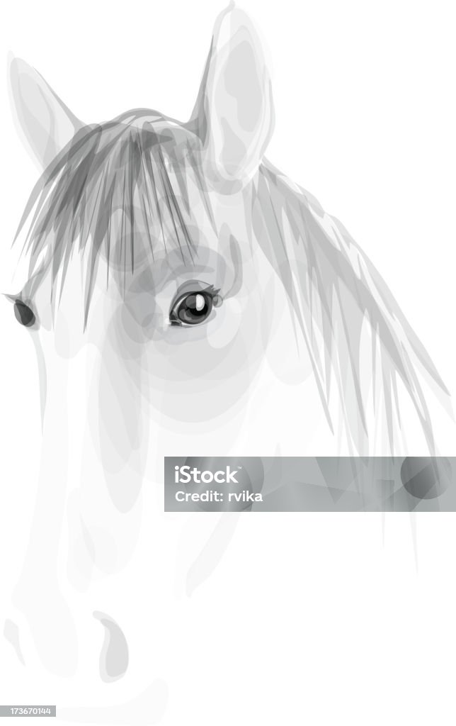 Vector Sketch Of White Horse Stock Illustration - Download Image ...