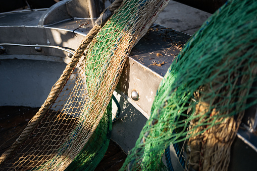 Crew of Fishermen Open Trawl Net with Caugth Fish on Board of Commercial Fishing Ship