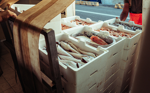 Typical Mediterranean fisheries. Fish boxes on a fishing boat ready to be unloaded and sold