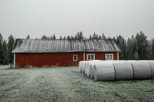 Rovaniemi, FInland A small wooden red barn on a field in a frosted cold landscape with hay bales.