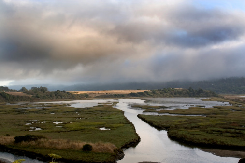 This is where Tomales Bay ends.