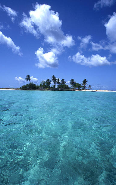 istock Caribbean beach island 173677725