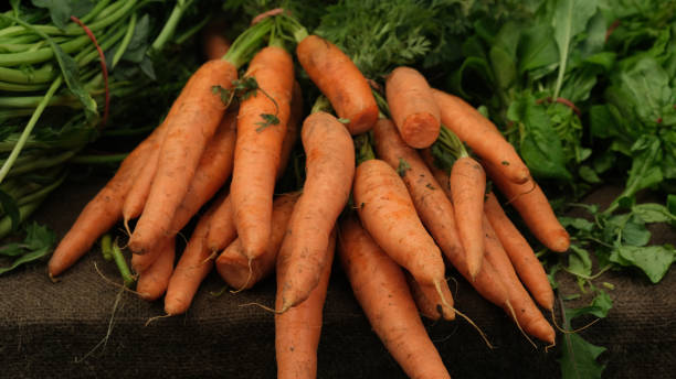 istock Fresh orange carrot sell on weekend fresh market. 1736779331