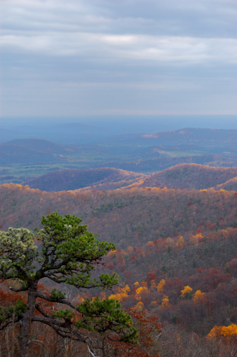 Autumn foliage in the Blue Ridge Mountains seen from Skyline Drive in Virginia.
