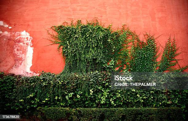 Siviglia Pianta Rampicante - Fotografie stock e altre immagini di Andalusia - Andalusia, Colore verde, Composizione verticale