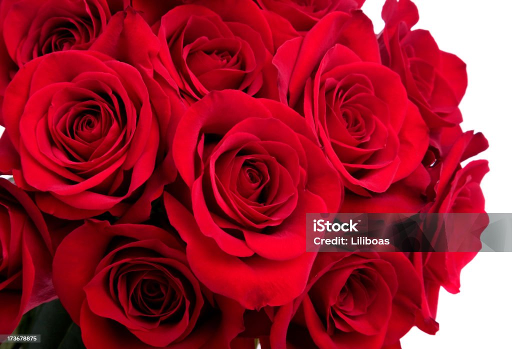 Rose Bouquet  Rose - Flower Stock Photo