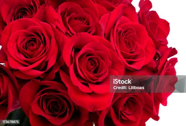 Rose Bouquet Stock Photo - Download Image Now - Rose - Flower, White Background, Red