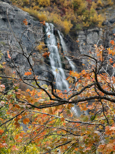 istock Bridal Veil Falls in Autumn 173679252