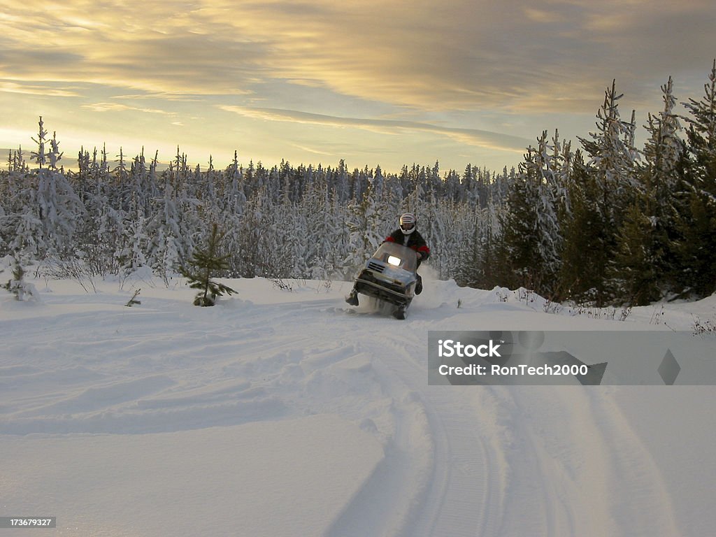Snowmobiler - Zbiór zdjęć royalty-free (Wyścigi skuterów śnieżnych)