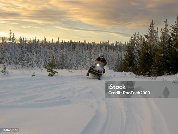 Snowmobiler - zdjęcia stockowe i więcej obrazów Wyścigi skuterów śnieżnych - Wyścigi skuterów śnieżnych, Kanada, Arktyka