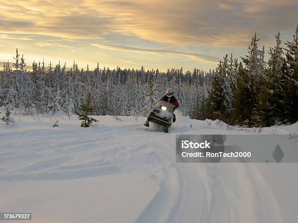 Snowmobiler — стоковые фотографии и другие картинки Сноумобилинг - Сноумобилинг, Канада, Арктика