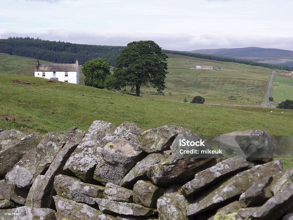 Inglês campo de fazenda em Yorkshire - Foto de stock de Cena Rural royalty-free